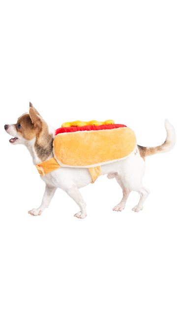 Hot Dog Pet Costume - SoulofHalloween