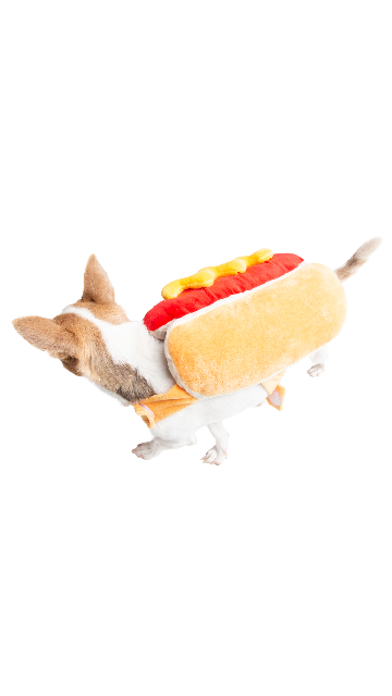 Hot Dog Pet Costume - SoulofHalloween