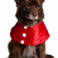 Santa Dog Costume - SoulofHalloween