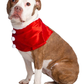 Santa Dog Costume - SoulofHalloween