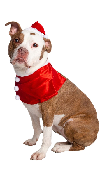 Santa Dog Costume - SoulofHalloween