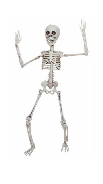 Poseable skeleton 20"